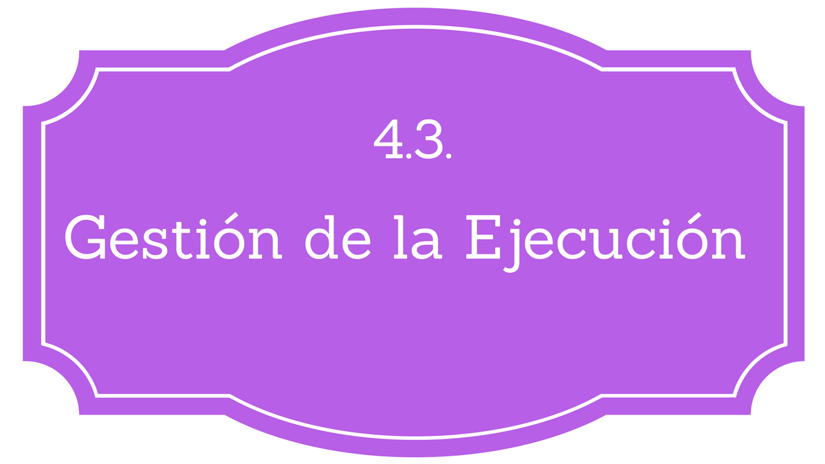 Dirigir y gestionar la ejecución del Proyecto