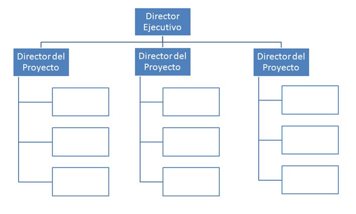 Estructura proyectizada Proyectos PMBOK