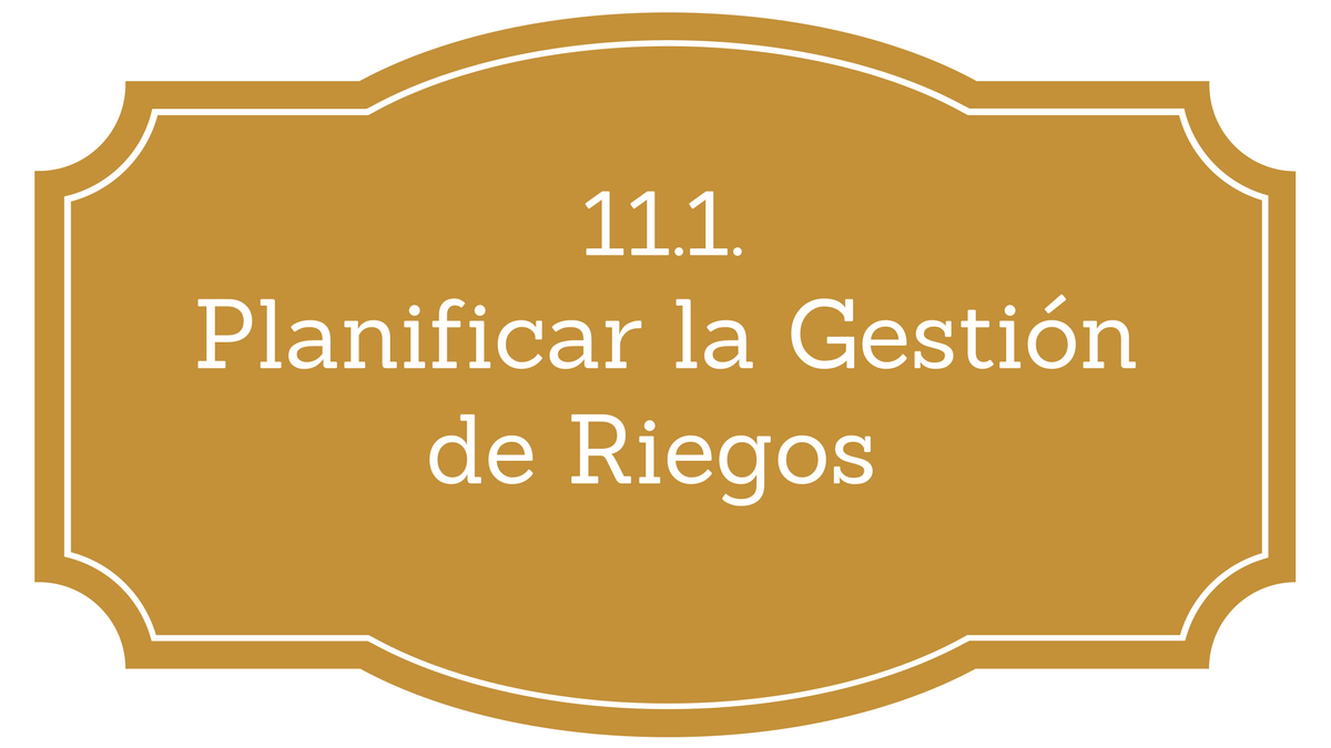 11.1. Planificar la Gestión de Riesgos PMBOK