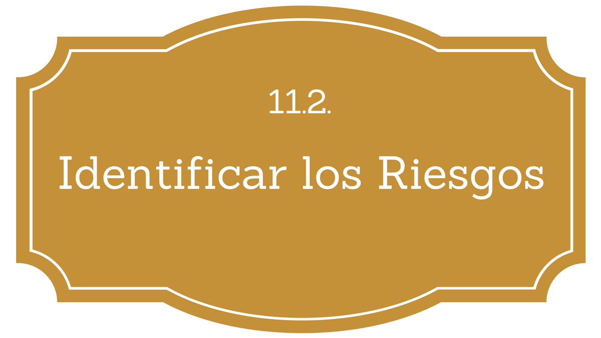11.2. Identificar los Riesgos PMBOK