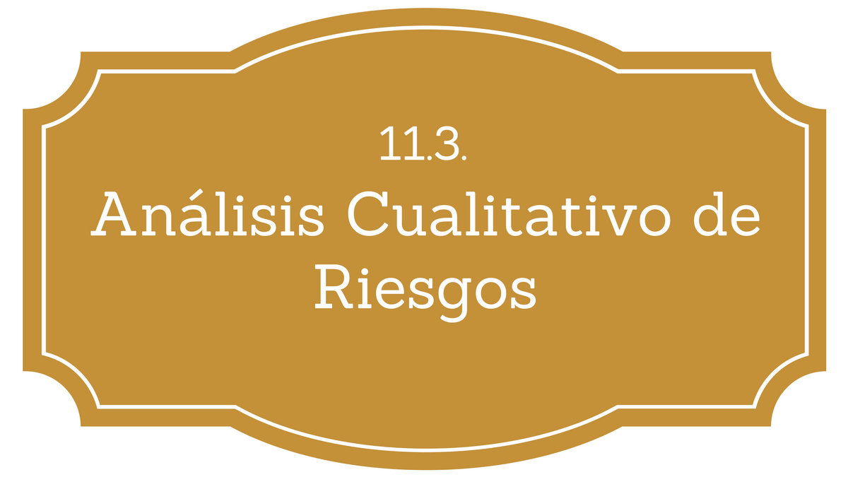 11.3. Análisis Cualitativo de riesgos PMBOK